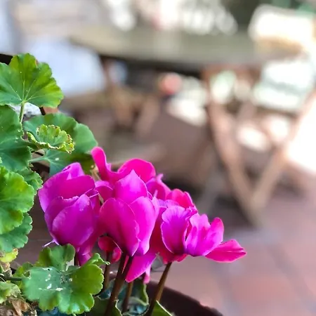 Mad Di Mare Di Arte Dormire